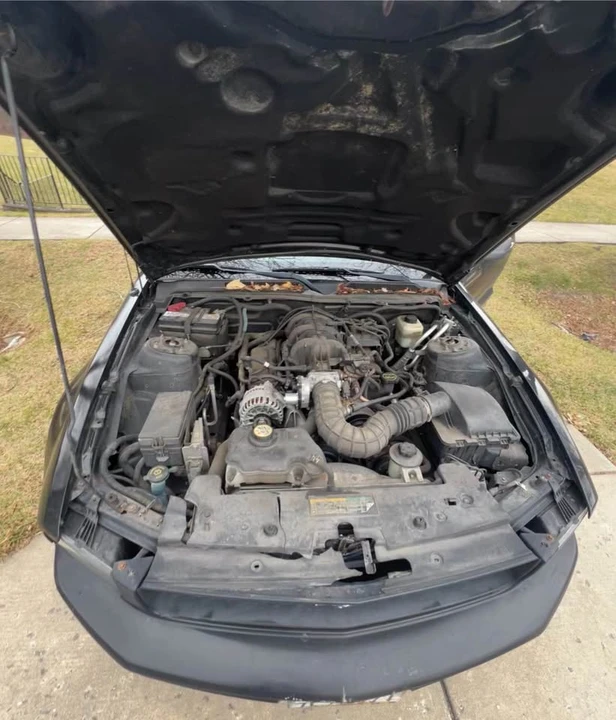 2008 Ford S197 Mustang - Image 11 of 11
