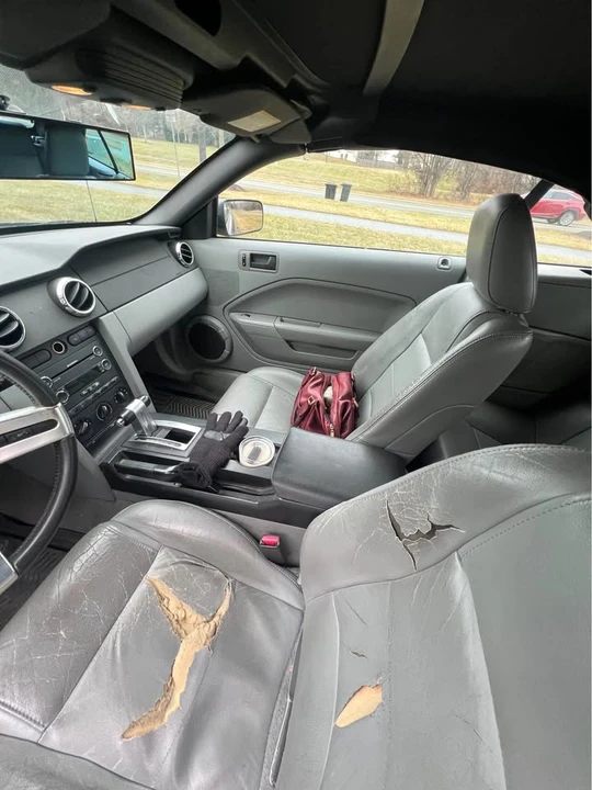 2008 Ford S197 Mustang - Image 10 of 11