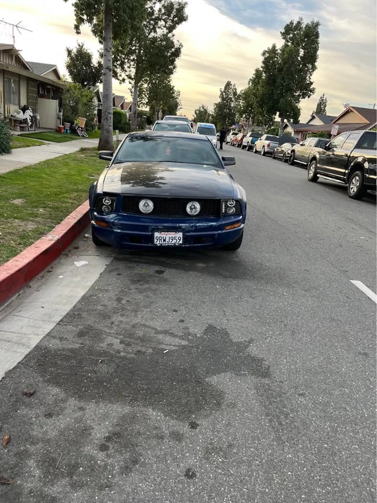 2008 Ford S197 Mustang - Image 3 of 5