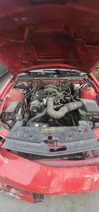 2008 Ford S197 Mustang - Image 3 of 3