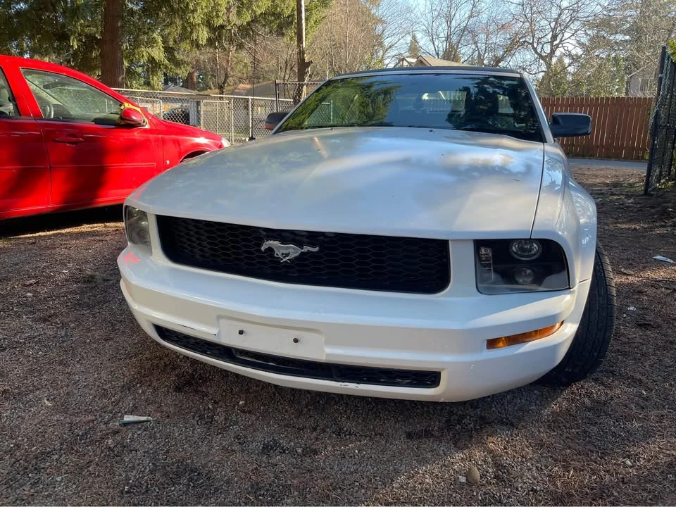 2008 Ford S197 Mustang - Image 17 of 17