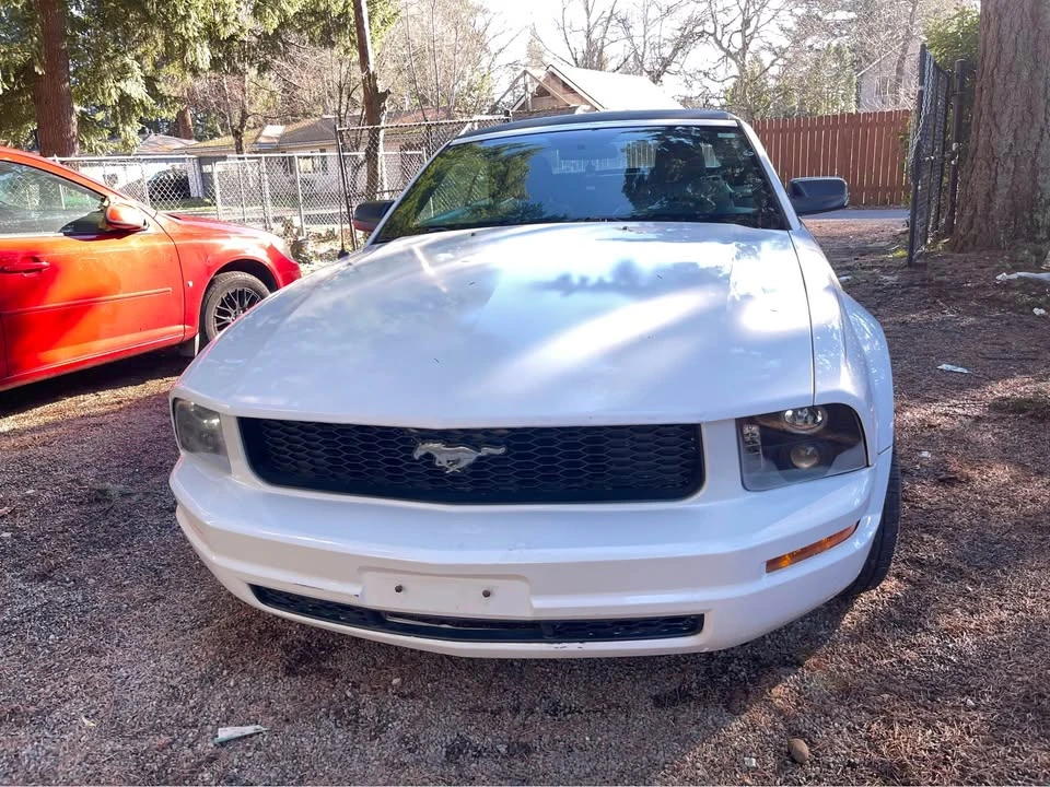 2008 Ford S197 Mustang - Image 14 of 15