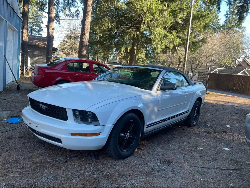 2008 Ford S197 Mustang - Image 16 of 17