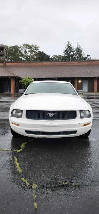 2008 Ford S197 Mustang - Image 3 of 9