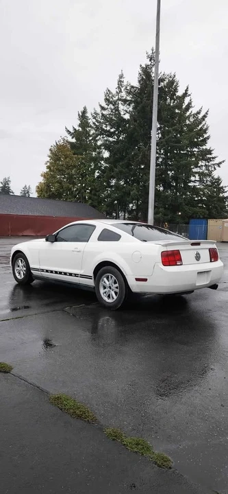 2008 Ford S197 Mustang - Image 5 of 9
