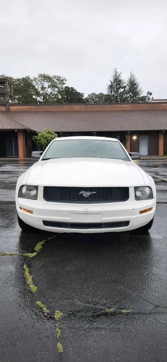 2008 Ford S197 Mustang - Image 2 of 9