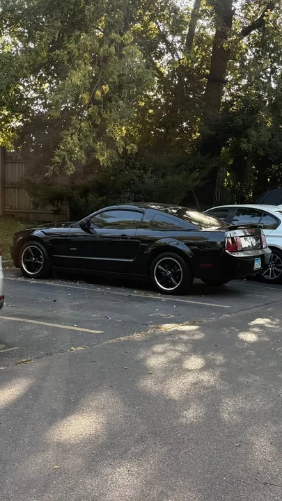 2008 Ford S197 Mustang - Image 15 of 17