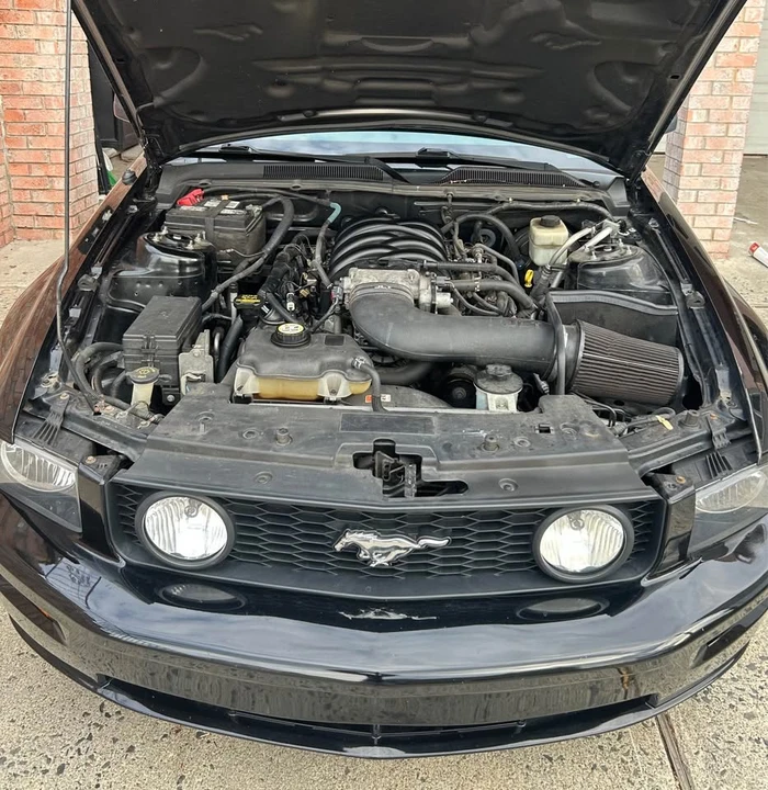 2008 Ford S197 Mustang - Image 11 of 20