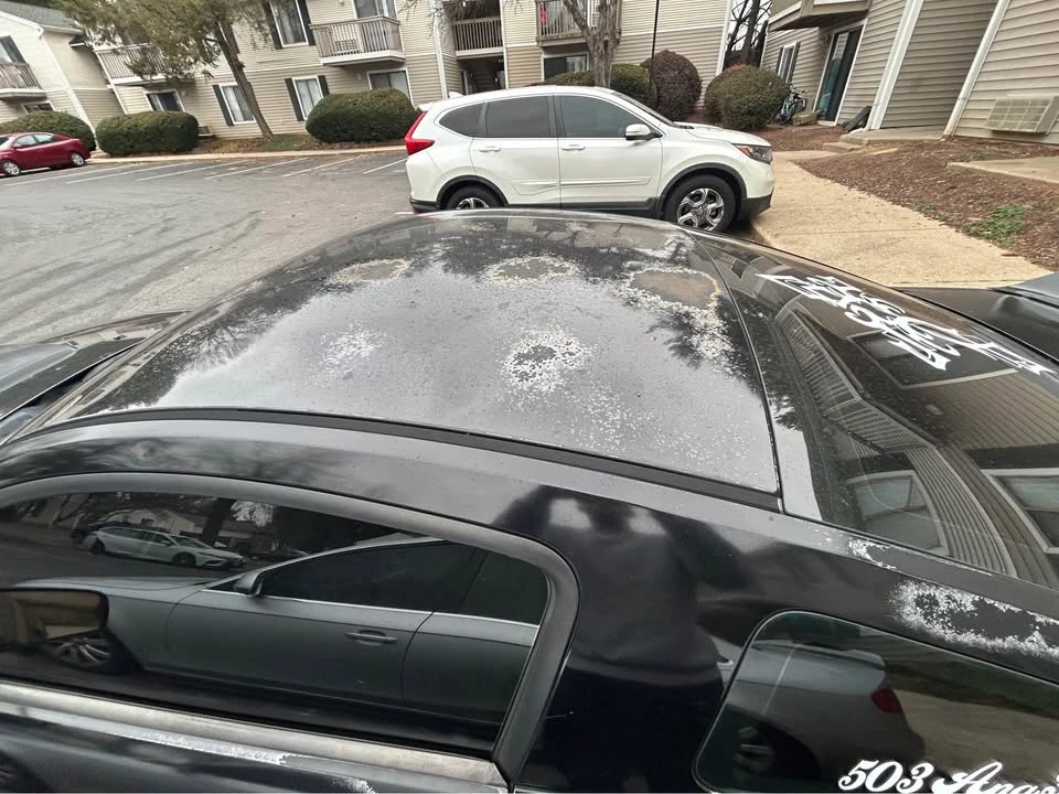 2008 Ford S197 Mustang - Image 10 of 10