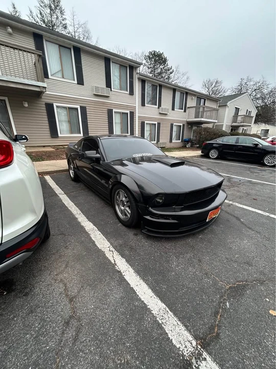 2008 Ford S197 Mustang - Image 5 of 10