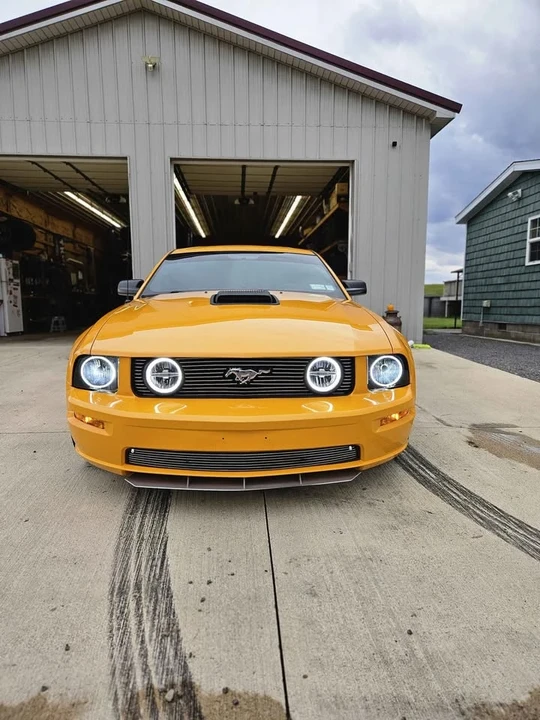 2008 Ford S197 Mustang - Image 4 of 14