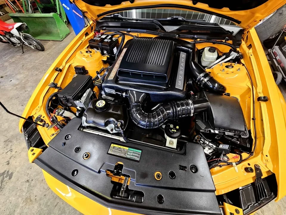 2008 Ford S197 Mustang - Image 11 of 14