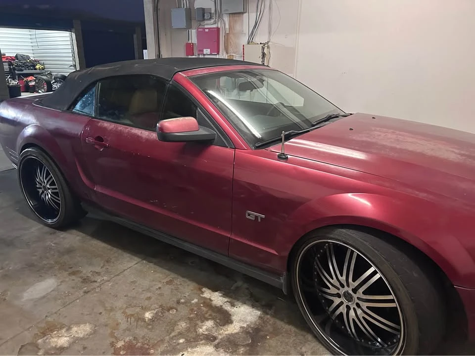 2008 Ford S197 Mustang - Image 4 of 5