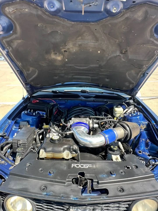 2008 Ford S197 Mustang - Image 12 of 19