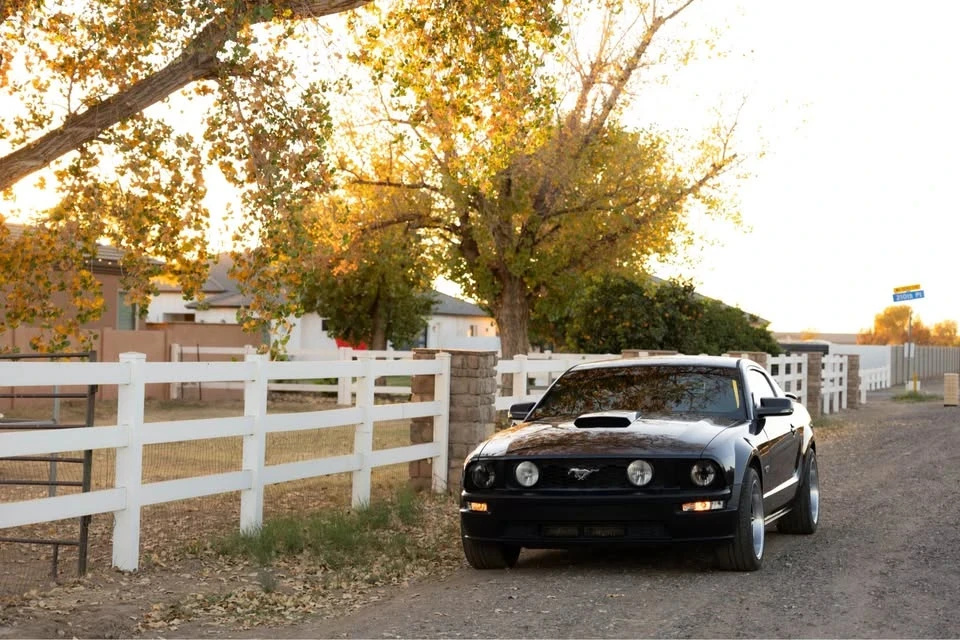 2008 Ford S197 Mustang - Image 5 of 12
