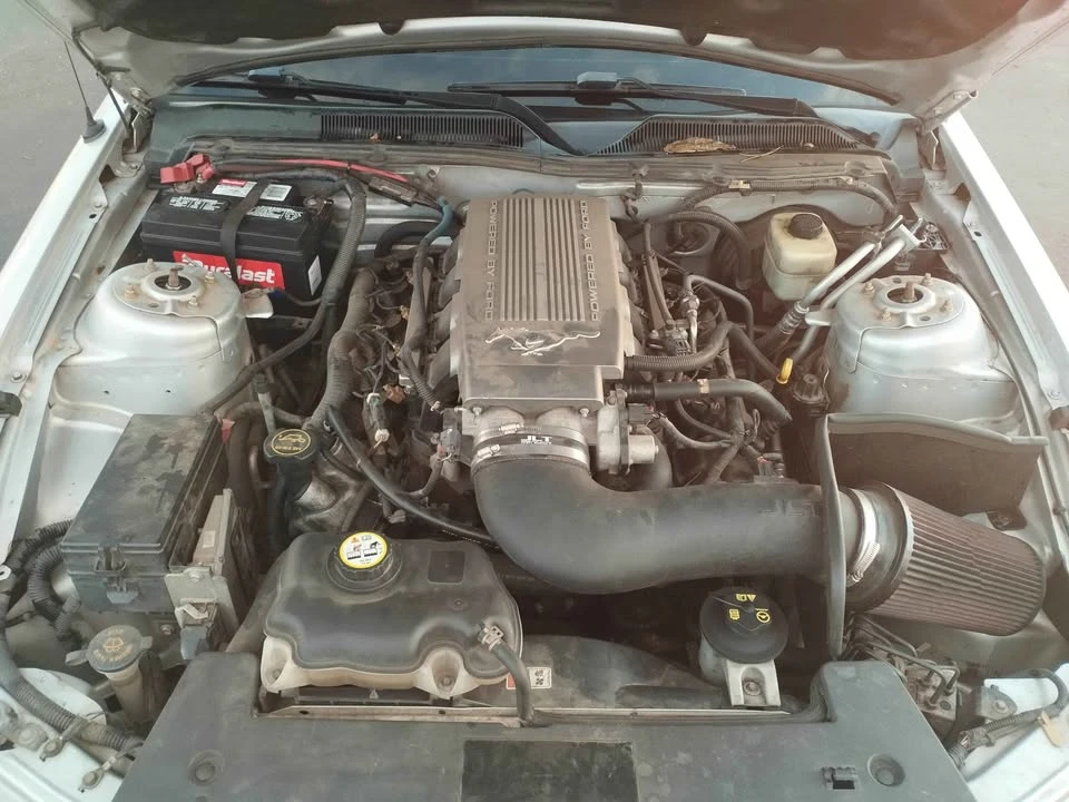 2008 Ford S197 Mustang - Image 11 of 13