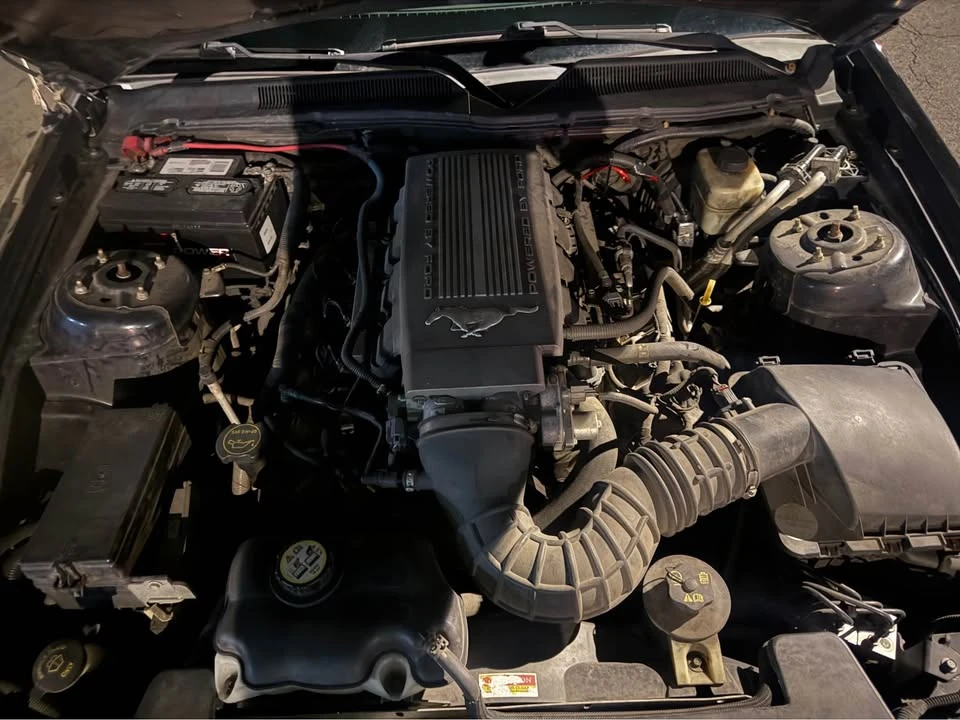 2008 Ford S197 Mustang - Image 15 of 17