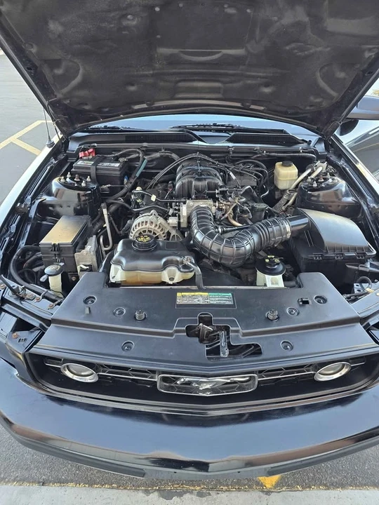 2008 Ford S197 Mustang - Image 13 of 13