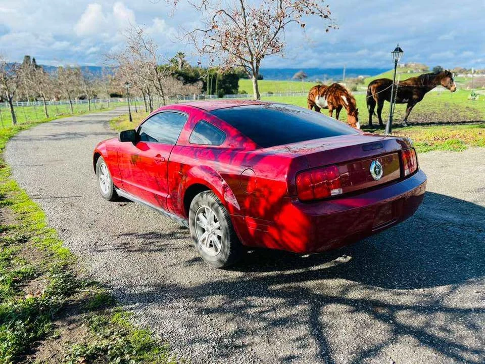 2008 Ford S197 Mustang - Image 5 of 7