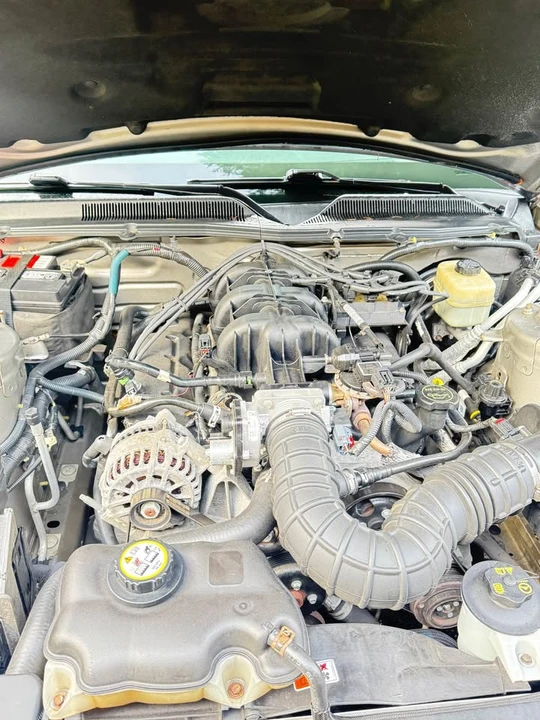 2008 Ford S197 Mustang - Image 8 of 20