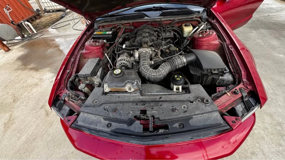 2008 Ford S197 Mustang - Image 12 of 13