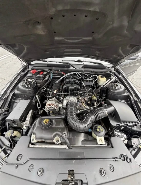 2008 Ford S197 Mustang - Image 11 of 16