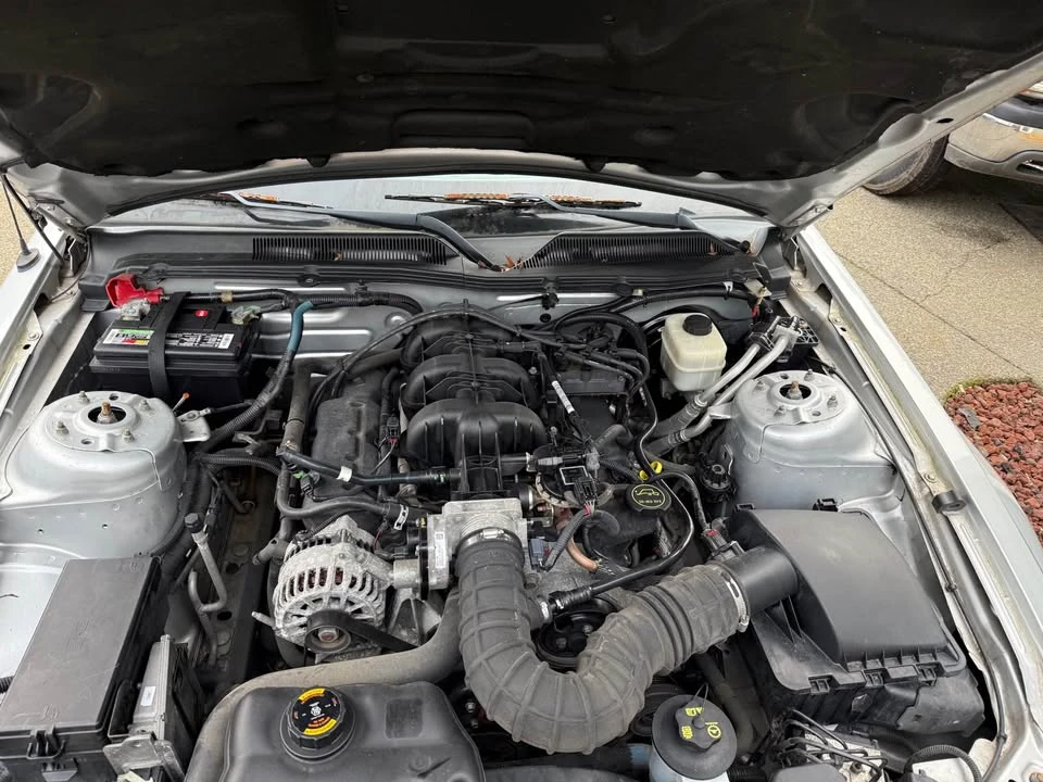 2008 Ford S197 Mustang - Image 15 of 15