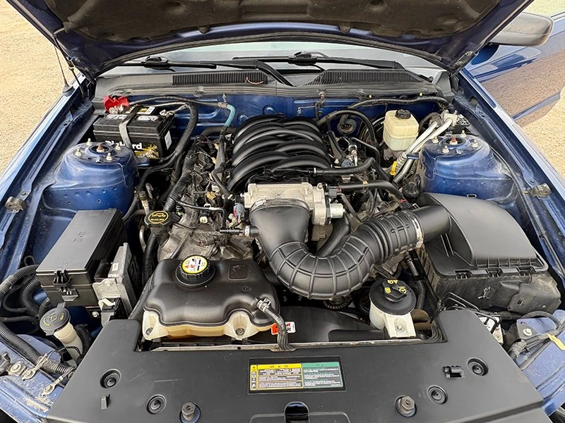 2008 Ford S197 Mustang - Image 8 of 8