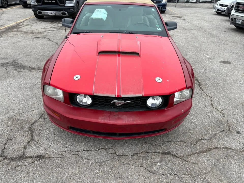 2008 Ford S197 Mustang - Image 6 of 16