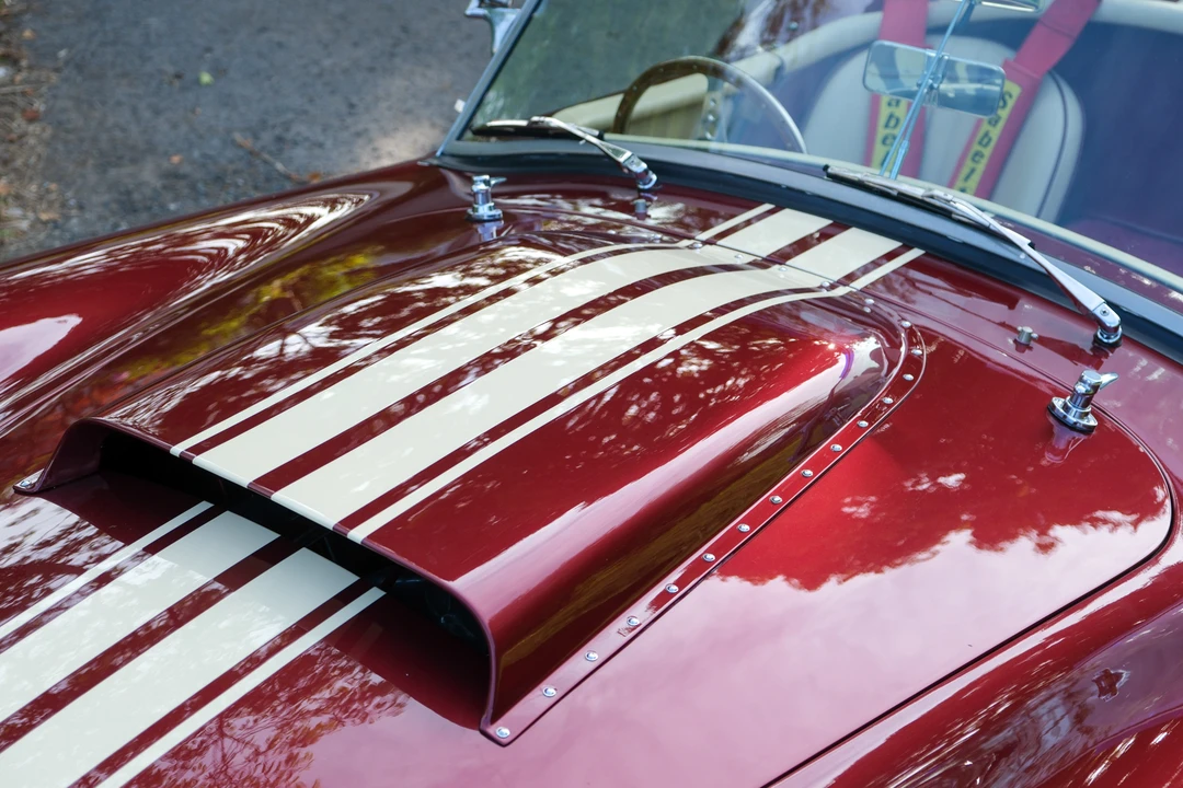 2008 Shelby Cobra Replica - Image 29 of 31