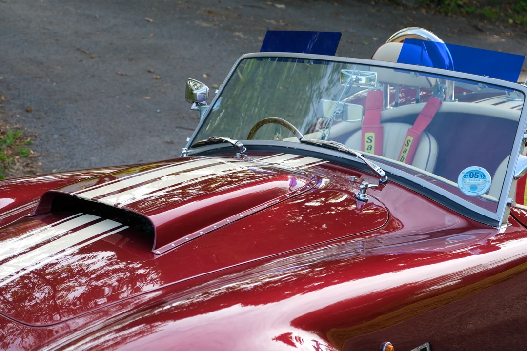 2008 Shelby Cobra Replica - Image 31 of 31