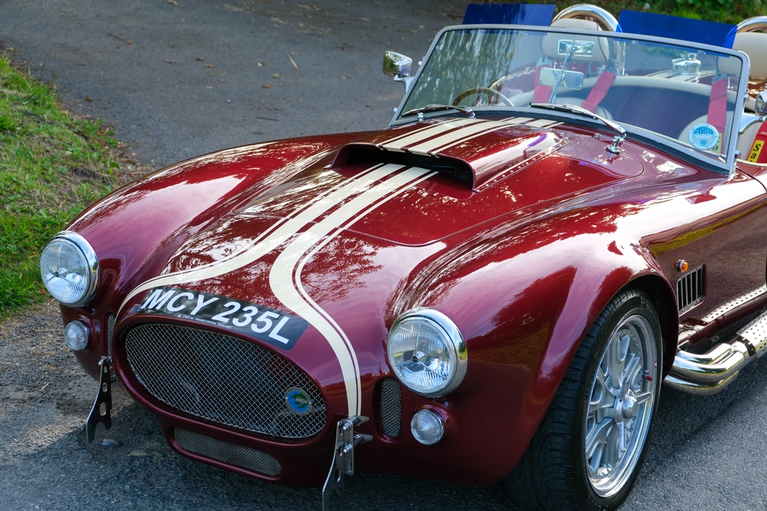 2008 Shelby Cobra Replica - Image 20 of 31