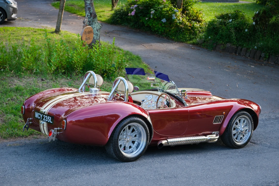 2008 Shelby Cobra Replica - Image 15 of 31