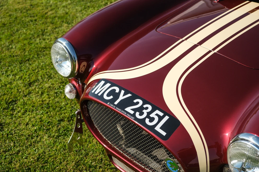 2008 Shelby Cobra Replica - Image 24 of 31