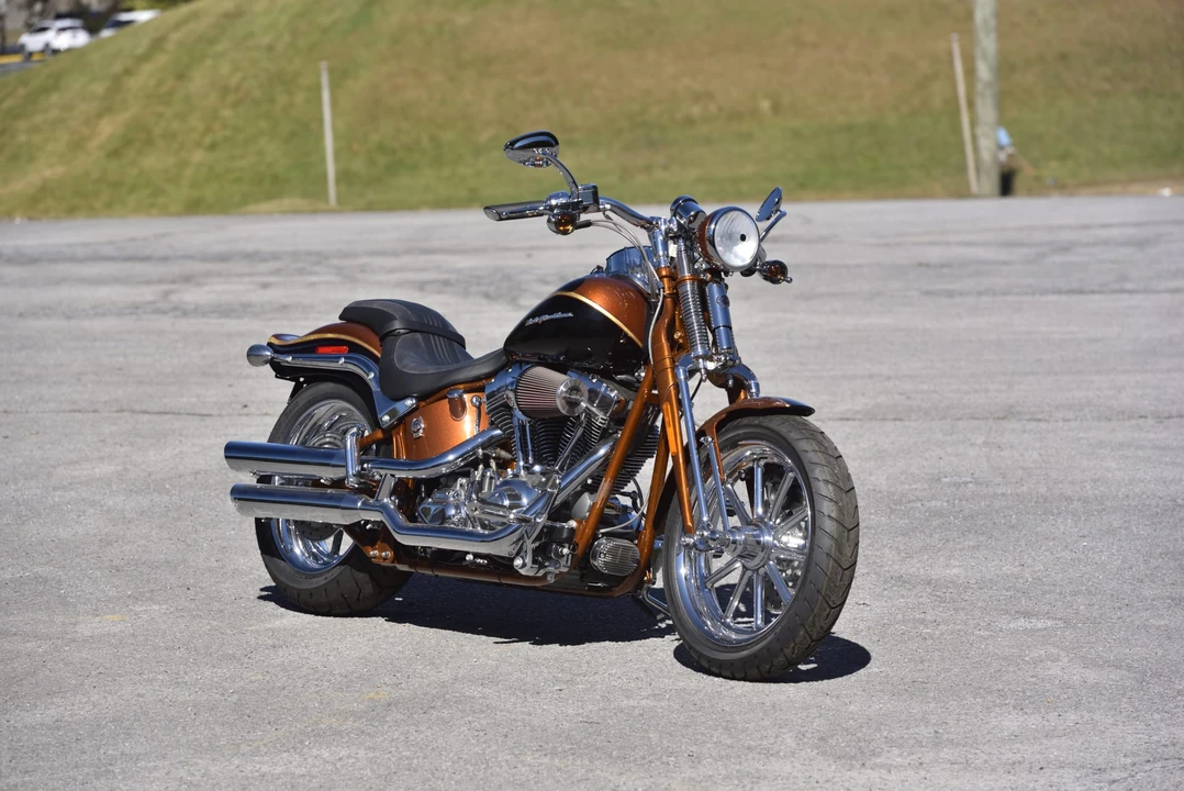 2008 Harley-Davidson Softail - Image 6 of 6