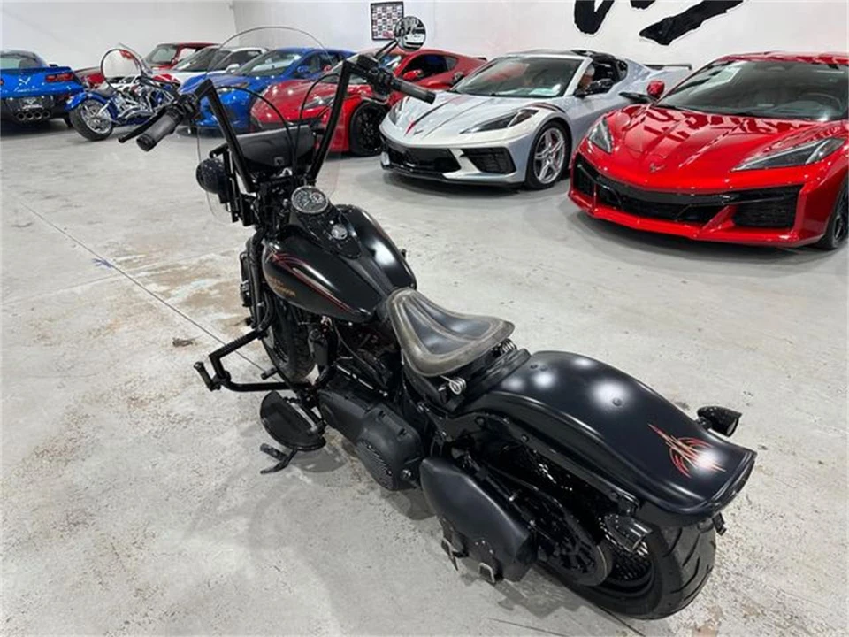 2008 Harley-Davidson Softail - Image 12 of 25