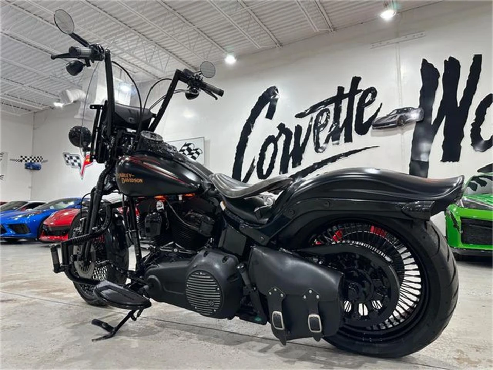 2008 Harley-Davidson Softail - Image 3 of 25