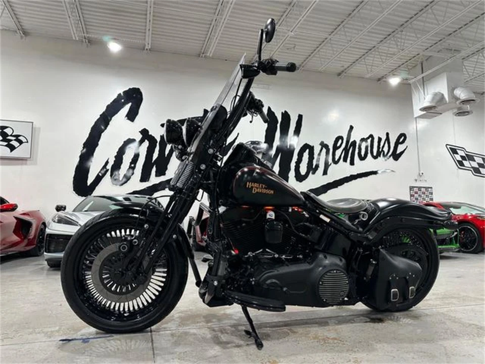 2008 Harley-Davidson Softail - Image 15 of 25