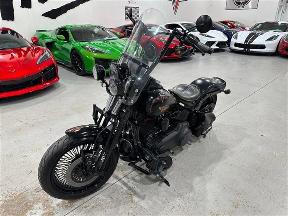 2008 Harley-Davidson Softail - Image 23 of 25