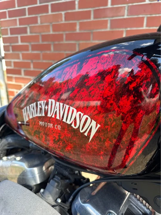 2008 Harley-Davidson Sportster Rubber Mount - Image 7 of 11