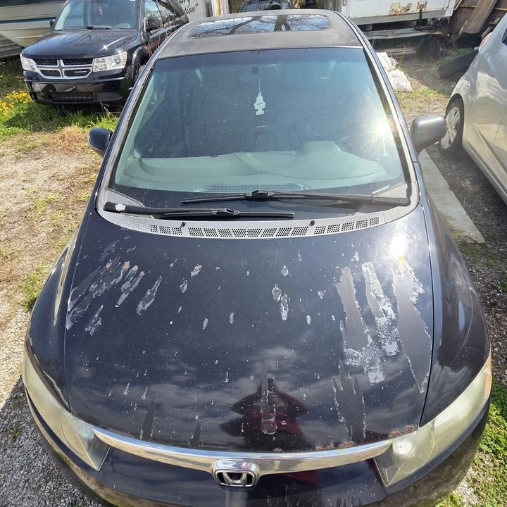 2008 Honda Civic 8th Gen - Image 9 of 9