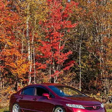 2008 Honda Civic Si