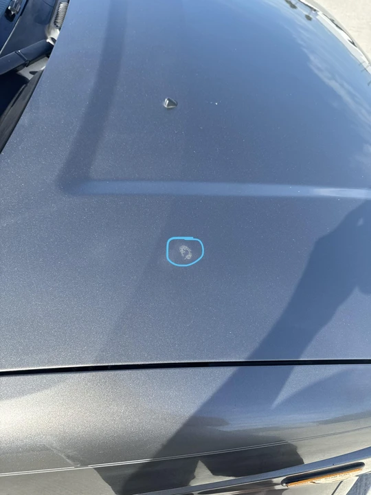 2008 Honda Element - Image 22 of 31
