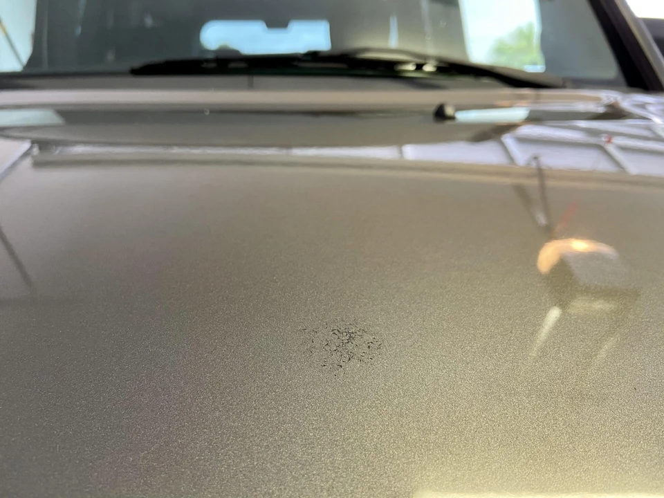 2008 Honda Element - Image 27 of 31