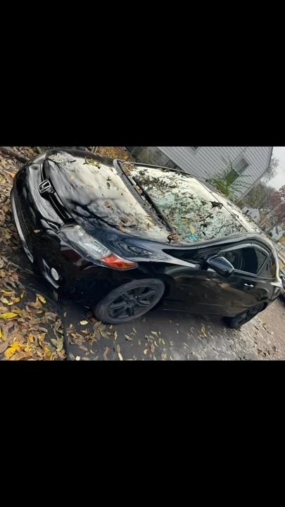 2008 Honda Civic 8th Gen - Image 2 of 2