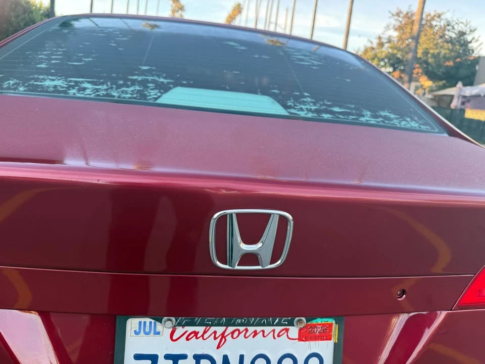 2008 Honda Civic 8th Gen - Image 8 of 10