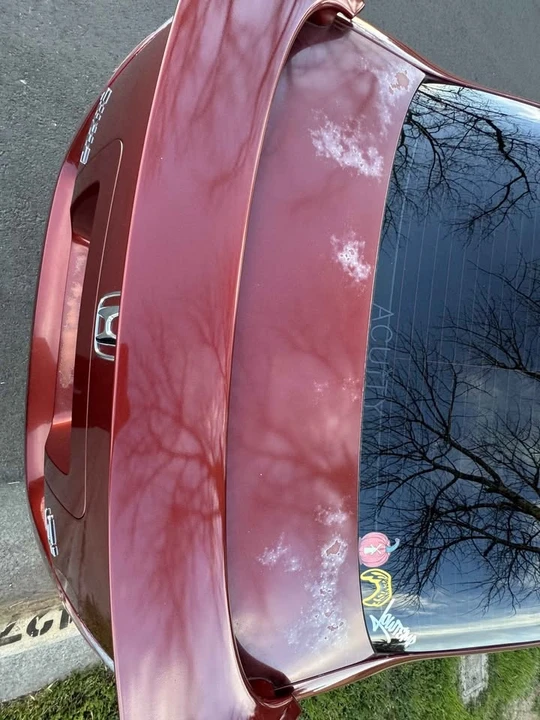 2008 Honda Civic Si 8th Gen - Image 3 of 5