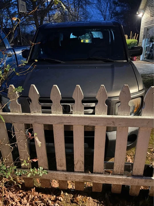2008 Honda Element - Image 8 of 8