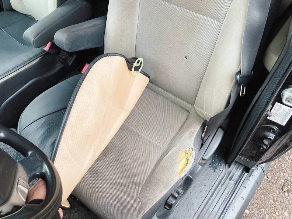 2008 Honda Element - Image 14 of 15