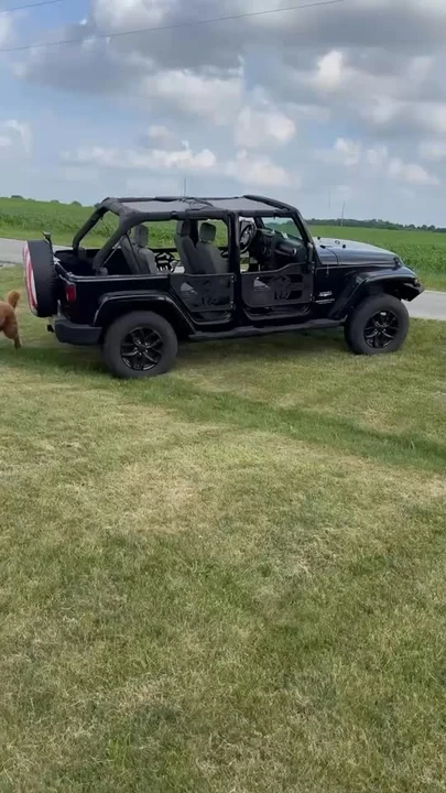 2008 Jeep JK Wrangler - Image 11 of 11